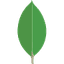 MongoDB